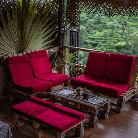 Tree House Cafe Ella Hostel Ngoại thất bức ảnh